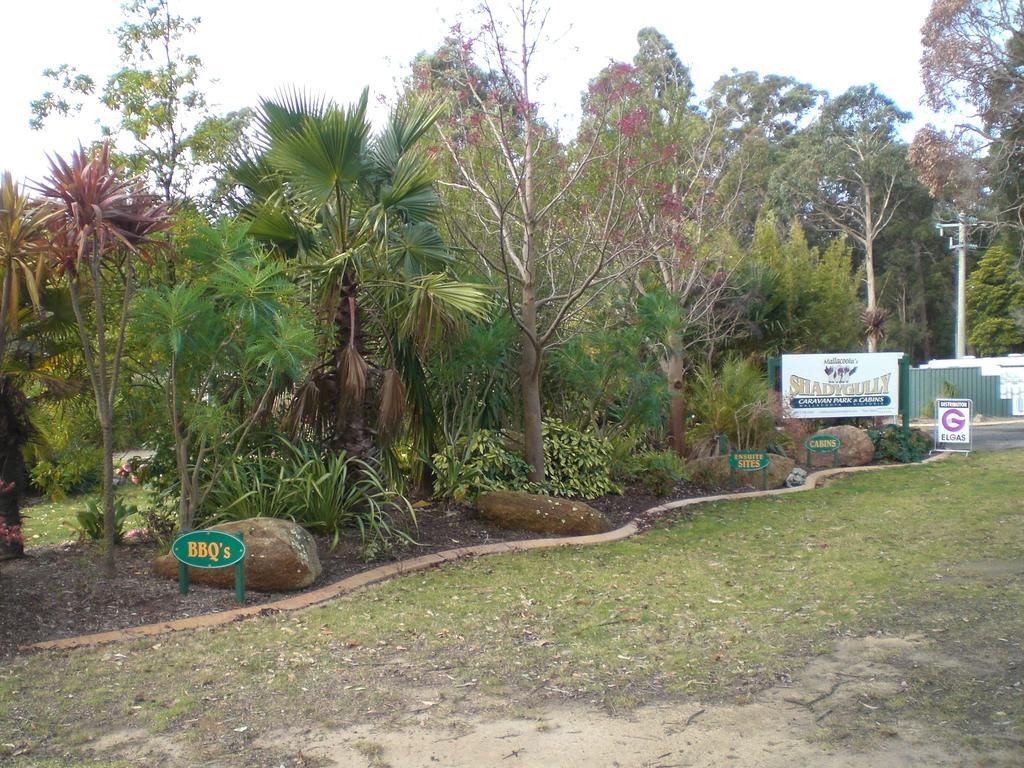 Mallacoota'S Shady Gully Caravan Park Zewnętrze zdjęcie
