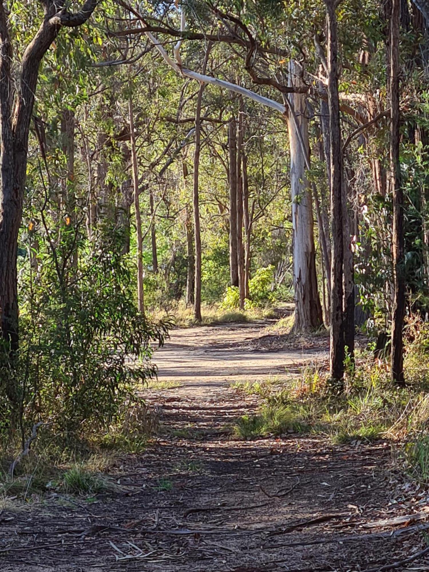 Mallacoota'S Shady Gully Caravan Park Zewnętrze zdjęcie