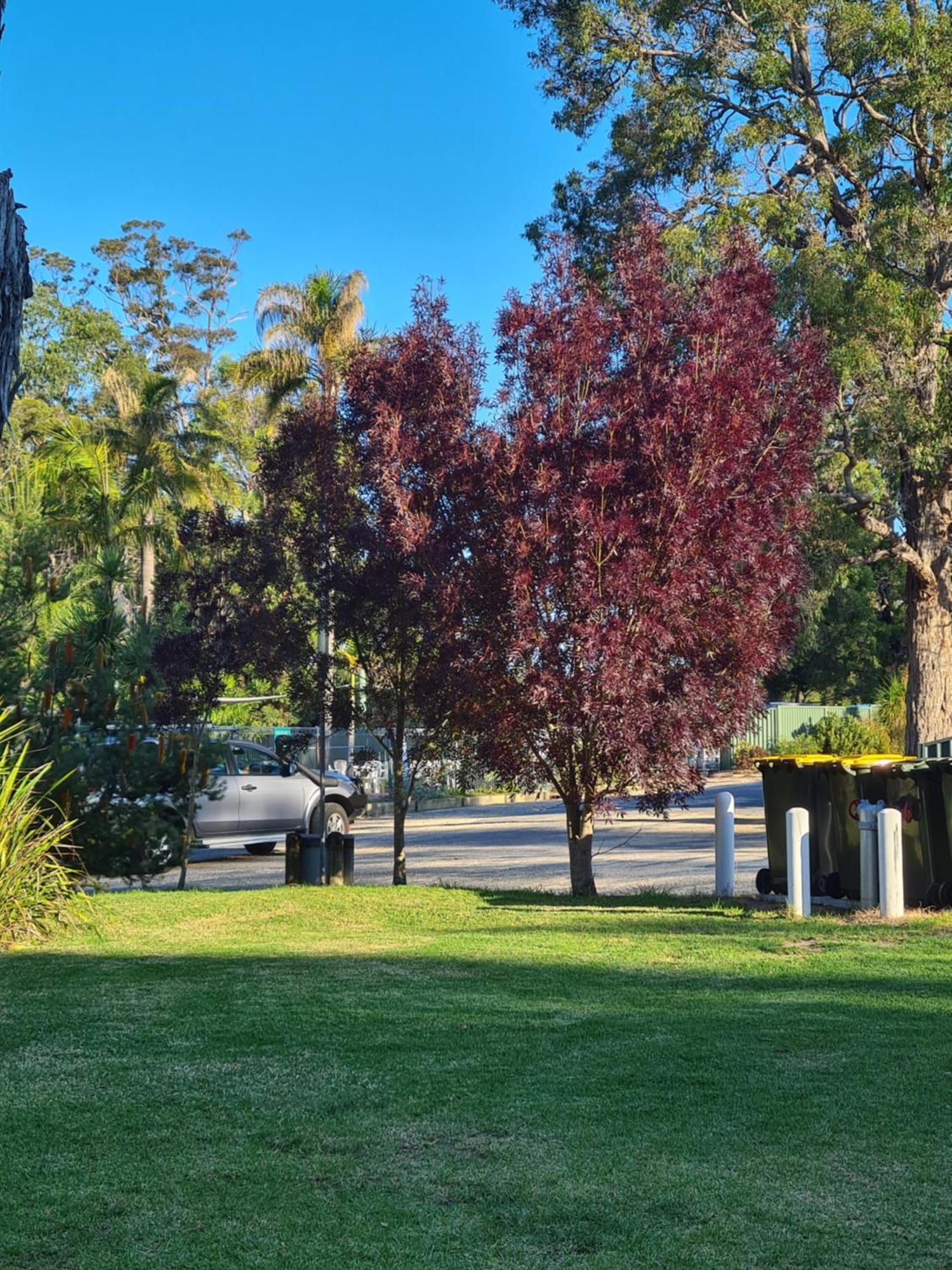 Mallacoota'S Shady Gully Caravan Park Zewnętrze zdjęcie